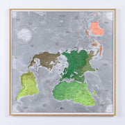 40% Off Framed Map