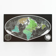 60% Off Plastic Wide Angle World Map